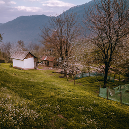 Small White Hut In Hirkan National Park